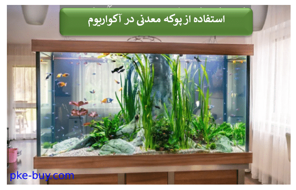 چرا از پوکه معدنی در آکواریوم ها استفاده می شود؟