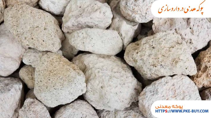 کاربرد پوکه معدنی در داروسازی