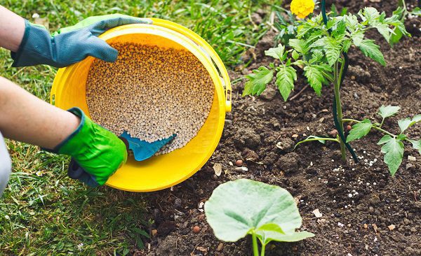 استفاده از پوکه برای رشد سریع محصول کشاورزی