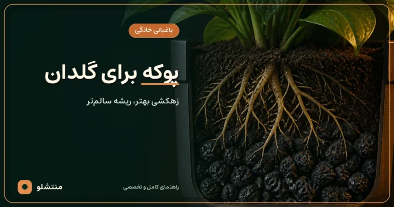 ریشه گیاه در گلدان دارای لایه پوکه سیاه و متخلخل برای زهکشی