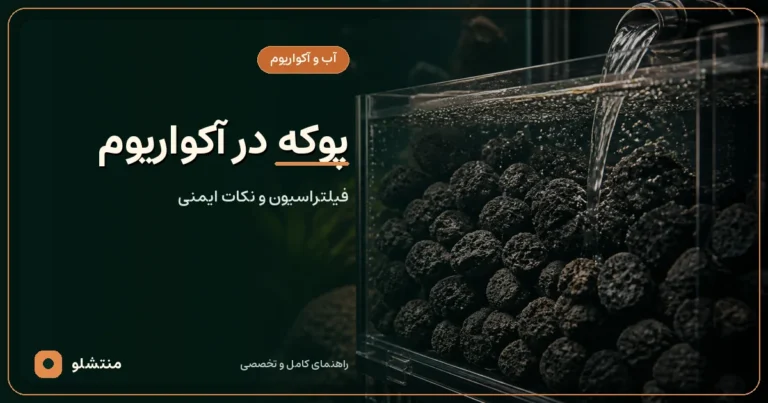 پوکه معدنی در آکواریوم؛ کاربرد و نکات ایمنی