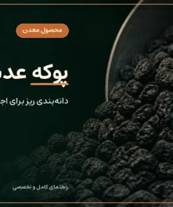 دانه‌های ریز و سیاه پوکه عدسی قروه با سوراخ‌های طبیعی
