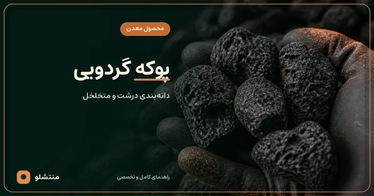 پوکه گردویی سیاه قروه با دانه‌های درشت و سوراخ‌های عمیق
