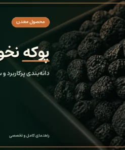 پوکه نخودی سیاه قروه با دانه‌های متوسط و بافت سوراخ‌دار
