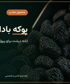 خرید پوکه بادامی قروه